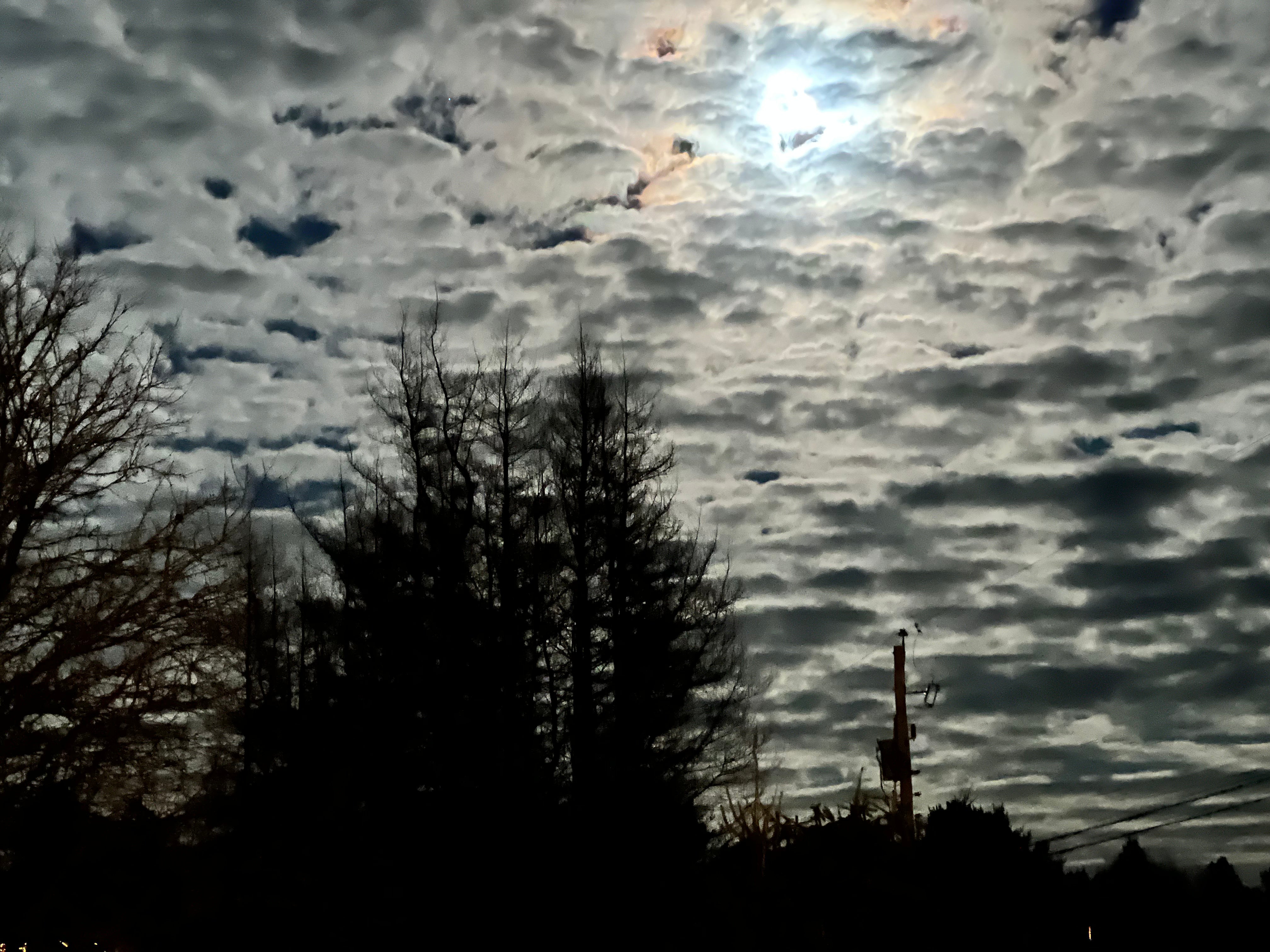 The afterglow of thanksgiving