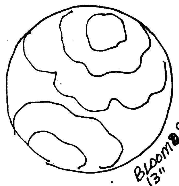 Bloom #9 - 13 Round - Rug Hooking Pattern or Kit – Deanne