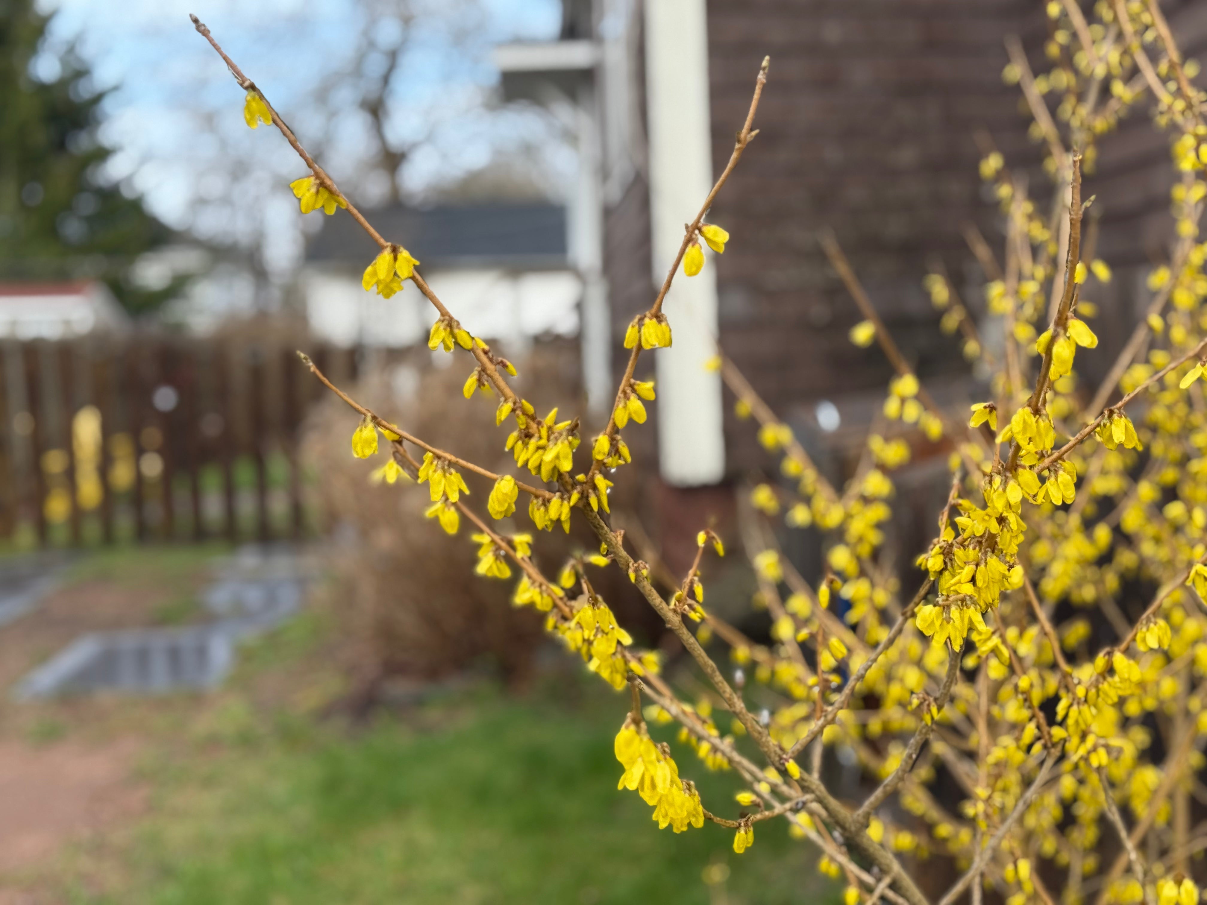 The feeling I get after a workshop