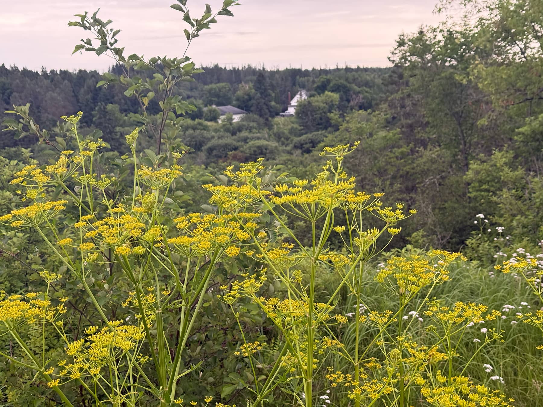 The sacredness of our routine