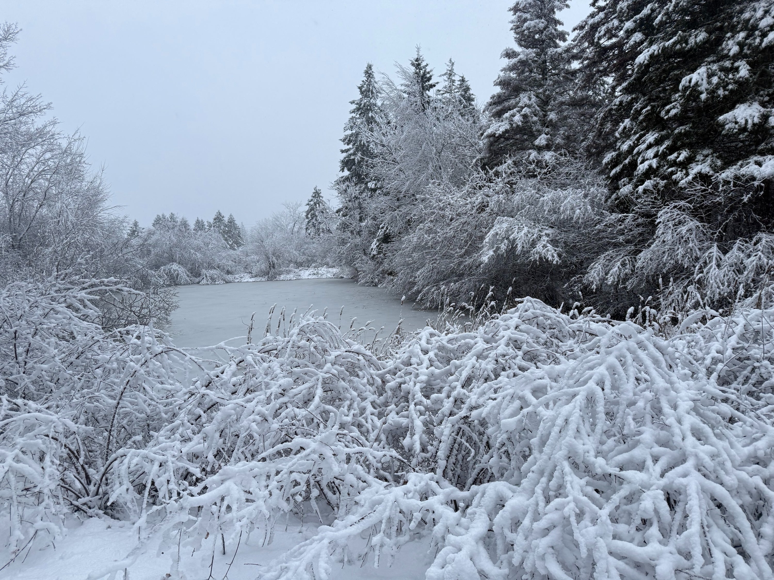 Listening, savouring and having fun.