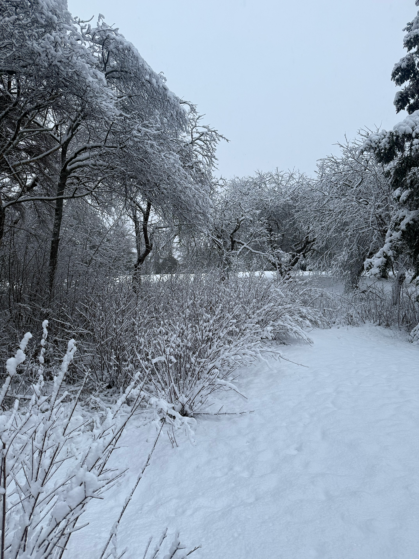 Winter was made for the makers.