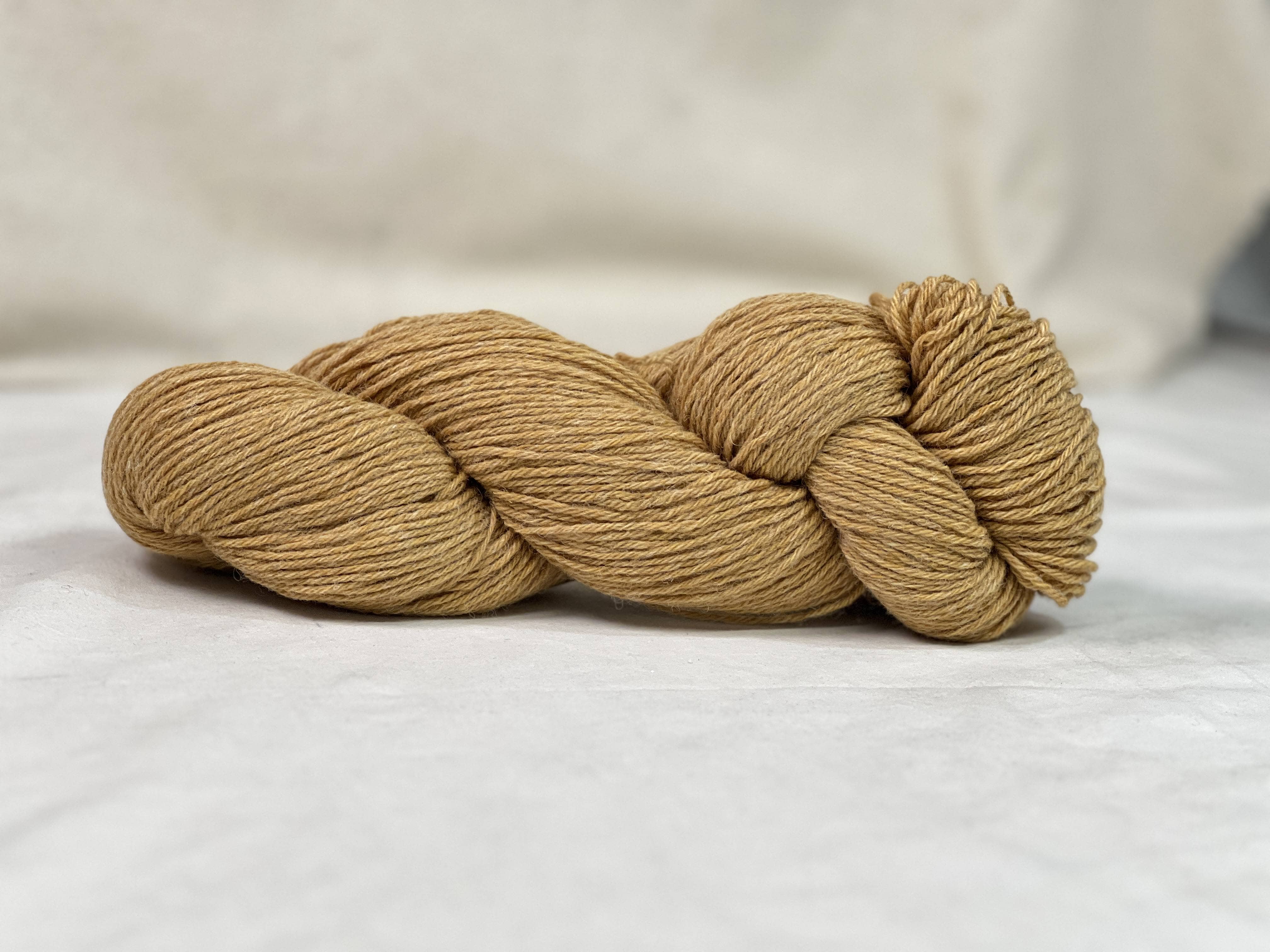 Eco Shetland Worsted- Maize - Q42306
