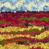update alt-text with template Golden Rod In Blueberry Fields 8" X 8" - Kit W/ Linen Pattern-Kits-Deanne Fitzpatrick Rug Hooking Studio-Rug Hooking Kit -Rug Hooking Pattern -Rug Hooking -Deanne Fitzpatrick Rug Hooking Studio -Is rug hooking the same as punch needle?