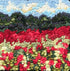 update alt-text with template The Field Of Red 8" X 8" - Kit W/ Linen Pattern-Kits-Deanne Fitzpatrick Rug Hooking Studio-Rug Hooking Kit -Rug Hooking Pattern -Rug Hooking -Deanne Fitzpatrick Rug Hooking Studio -Is rug hooking the same as punch needle?