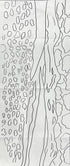 update alt-text with template The Year in Landscape, Session IV: Summer on the Land-Online Learning-Deanne Fitzpatrick Rug Hooking Studio-Rug Hooking Kit -Rug Hooking Pattern -Rug Hooking -Deanne Fitzpatrick Rug Hooking Studio -Is rug hooking the same as punch needle?