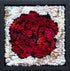 update alt-text with template Little Rose - 7.5" x 7.5" Framed-Original Rugs-Deanne Fitzpatrick Rug Hooking Studio-Rug Hooking Kit -Rug Hooking Pattern -Rug Hooking -Deanne Fitzpatrick Rug Hooking Studio -Is rug hooking the same as punch needle?