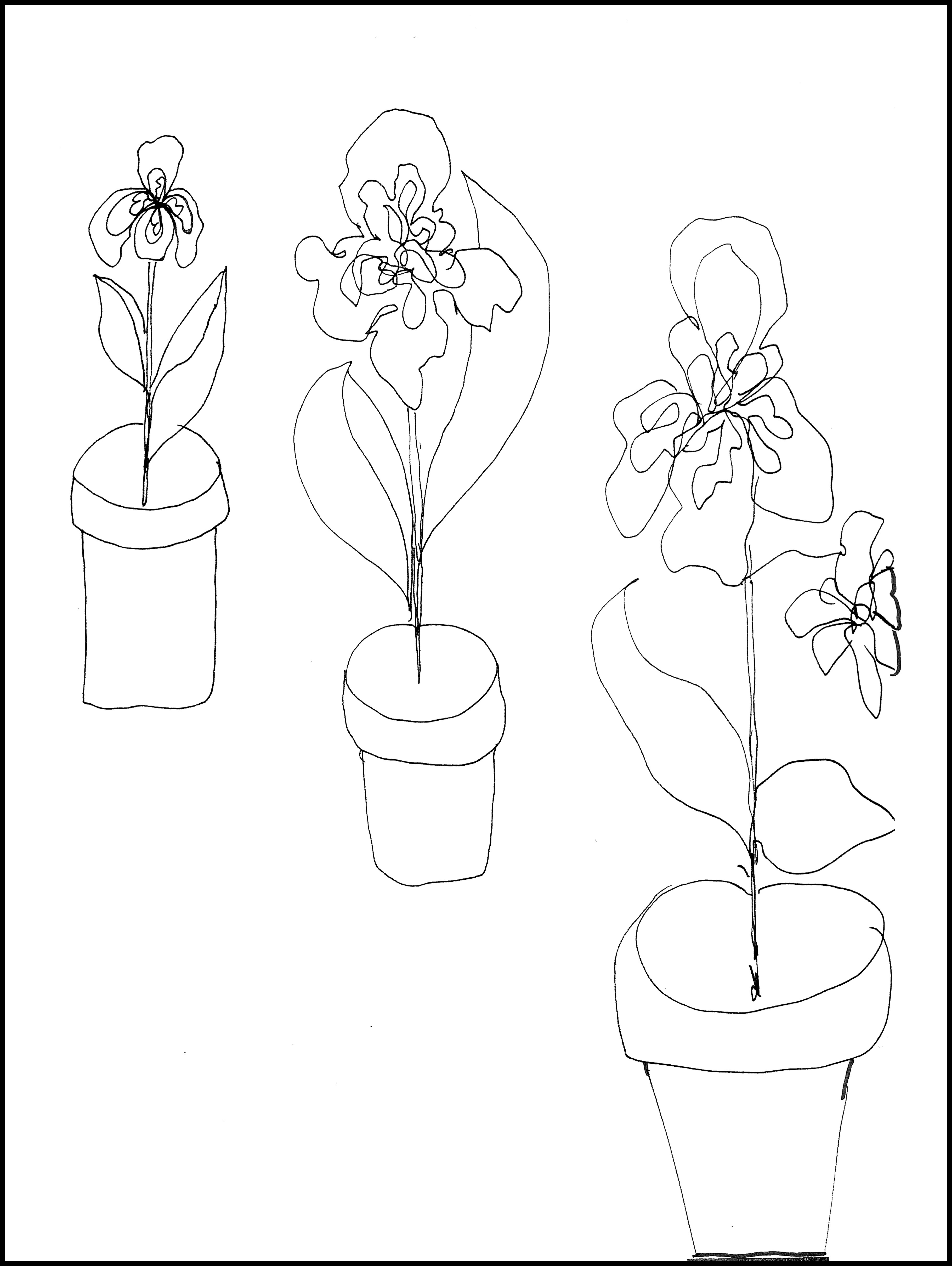 update alt-text with template Flower Pot Trio 12" x 16" Pattern-Patterns-Deanne Fitzpatrick Rug Hooking Studio-Rug Hooking Kit -Rug Hooking Pattern -Rug Hooking -Deanne Fitzpatrick Rug Hooking Studio -Is rug hooking the same as punch needle?