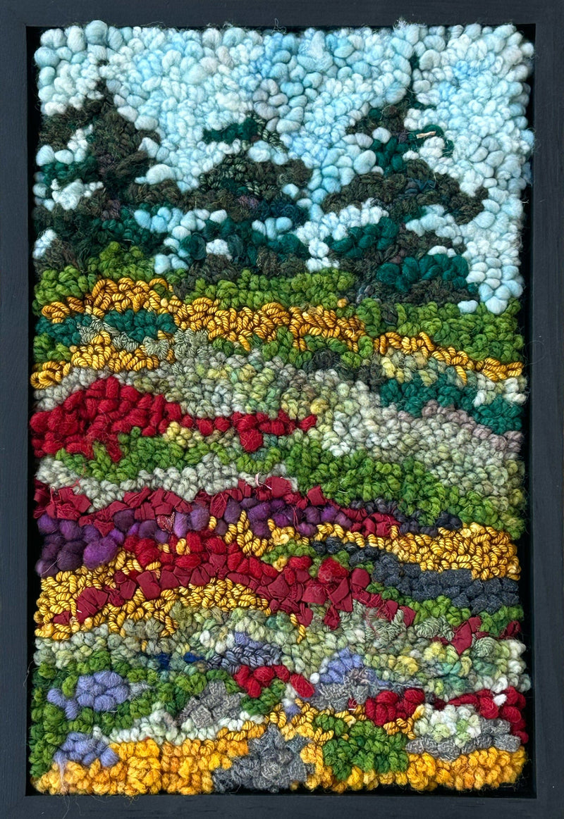 Rugs for sale 3 Spruce on Blueberry Barren, 6" x 17" Framed (Copy) Deanne Fitzpatrick hooking rugs rug hooking how to hook rugs kits