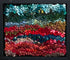 update alt-text with template River And Marsh 9" x 8" Framed-Rugs for sale-Deanne Fitzpatrick Rug Hooking Studio-Rug Hooking Kit -Rug Hooking Pattern -Rug Hooking -Deanne Fitzpatrick Rug Hooking Studio -Is rug hooking the same as punch needle?