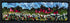 update alt-text with template Sparkle Lane 5.75" x 17.5" Framed-Rugs for sale-Deanne Fitzpatrick Rug Hooking Studio-Rug Hooking Kit -Rug Hooking Pattern -Rug Hooking -Deanne Fitzpatrick Rug Hooking Studio -Is rug hooking the same as punch needle?