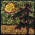 update alt-text with template Sun On The Pine 9" x 9" Framed-Rugs for sale-Deanne Fitzpatrick Rug Hooking Studio-Rug Hooking Kit -Rug Hooking Pattern -Rug Hooking -Deanne Fitzpatrick Rug Hooking Studio -Is rug hooking the same as punch needle?