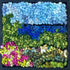 update alt-text with template Tiny Landscape Rose Bush, 6" x 6" Framed-Rugs for sale-Deanne Fitzpatrick Rug Hooking Studio-Rug Hooking Kit -Rug Hooking Pattern -Rug Hooking -Deanne Fitzpatrick Rug Hooking Studio -Is rug hooking the same as punch needle?