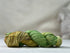 update alt-text with template Lichen and Lace Sock Yarn - Wintergreen-Wool-vendor-unknown-Rug Hooking Kit -Rug Hooking Pattern -Rug Hooking -Deanne Fitzpatrick Rug Hooking Studio -Is rug hooking the same as punch needle?