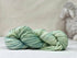 update alt-text with template Sister Cash - Gentle Green-Wool-vendor-unknown-Rug Hooking Kit -Rug Hooking Pattern -Rug Hooking -Deanne Fitzpatrick Rug Hooking Studio -Is rug hooking the same as punch needle?