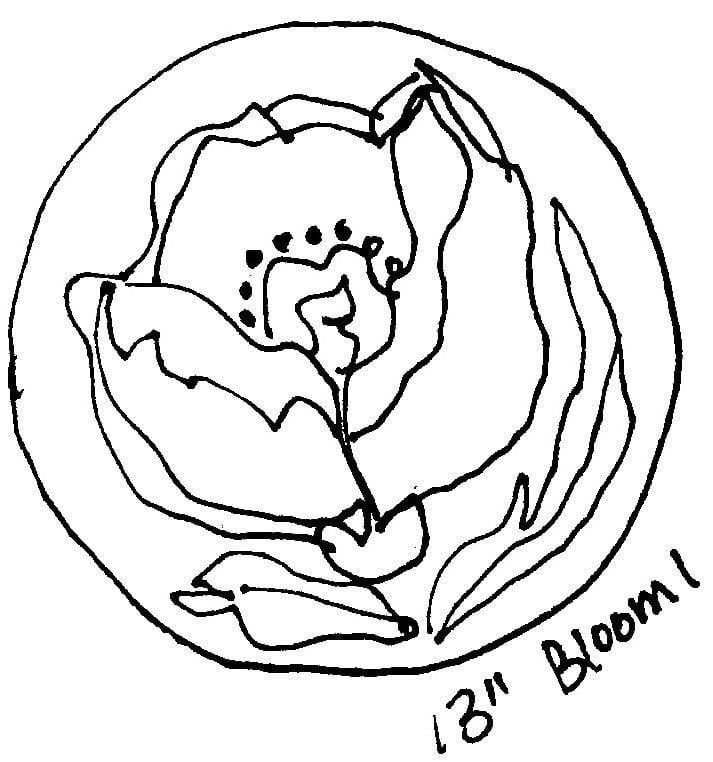 update alt-text with template Bloom #1 - 13" Round- Rug Hooking Pattern or Kit-Patterns-vendor-unknown-Rug Hooking Kit -Rug Hooking Pattern -Rug Hooking -Deanne Fitzpatrick Rug Hooking Studio -Is rug hooking the same as punch needle?