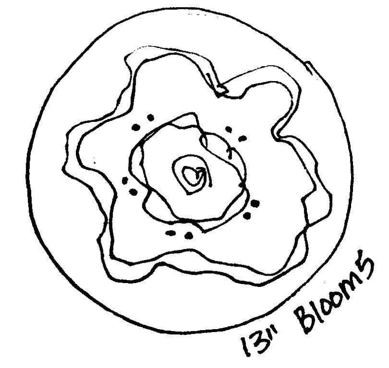 update alt-text with template Bloom #5 - 13" Round - Rug Hooking Pattern or Kit-Patterns-vendor-unknown-Rug Hooking Kit -Rug Hooking Pattern -Rug Hooking -Deanne Fitzpatrick Rug Hooking Studio -Is rug hooking the same as punch needle?
