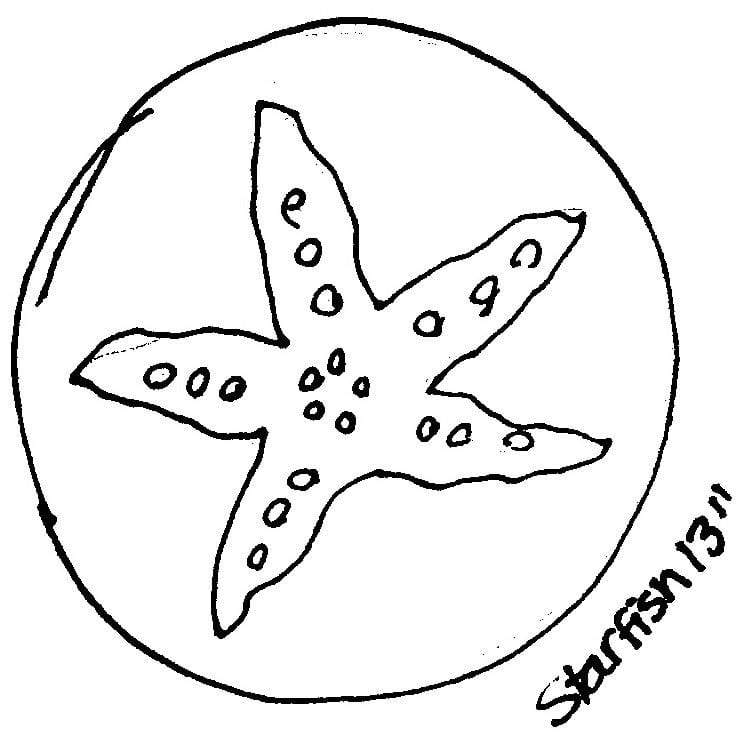 update alt-text with template Starfish - 13" Round Rug Hooking Pattern or Kit-Patterns-vendor-unknown-Rug Hooking Kit -Rug Hooking Pattern -Rug Hooking -Deanne Fitzpatrick Rug Hooking Studio -Is rug hooking the same as punch needle?